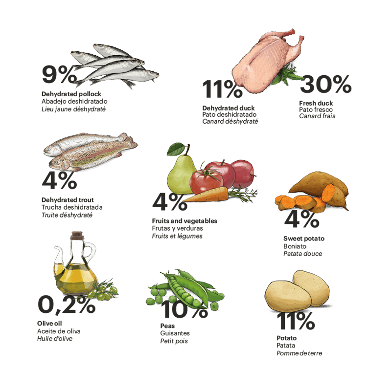 Exclusive Grain Free Cat Sterilized Duck with Fish Exclusive Grain Free Cat Sterilized Duck with Fish